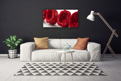 Canvas doek foto Rozen bloemen plant