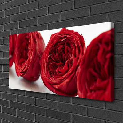 Canvas doek foto Rozen bloemen plant