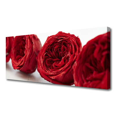 Canvas doek foto Rozen bloemen plant