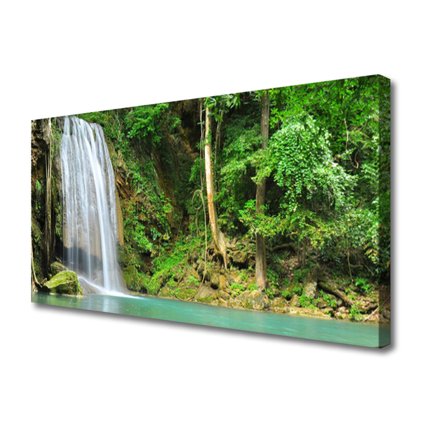 Canvas doek foto Boswaterval nature