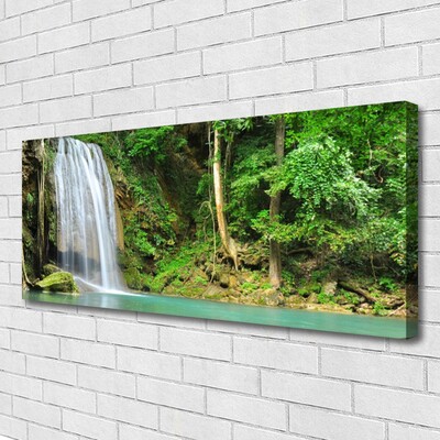 Canvas doek foto Boswaterval nature