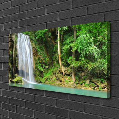 Canvas doek foto Boswaterval nature