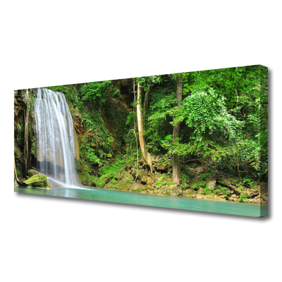 Canvas doek foto Boswaterval nature