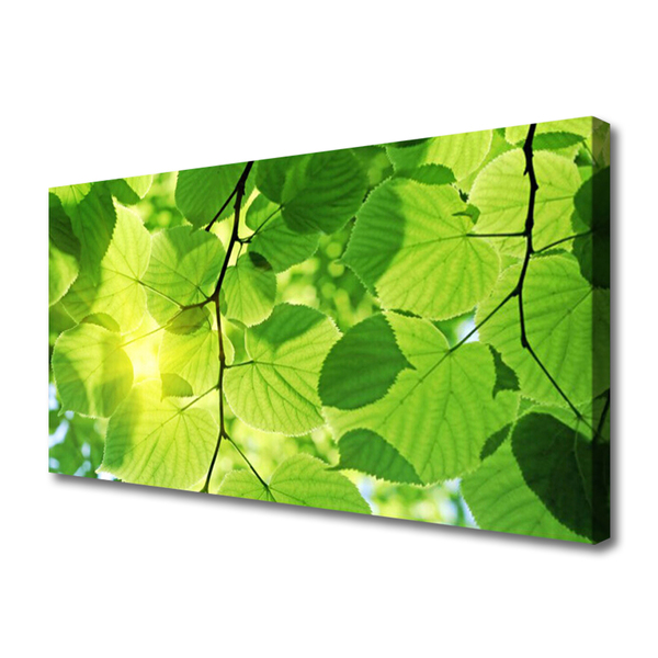 Canvas doek foto Bladeren natuur plant