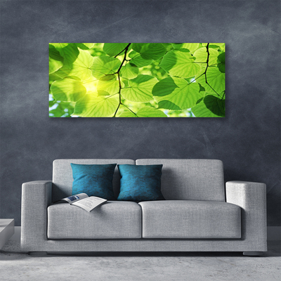 Canvas doek foto Bladeren natuur plant