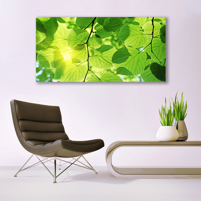 Canvas doek foto Bladeren natuur plant