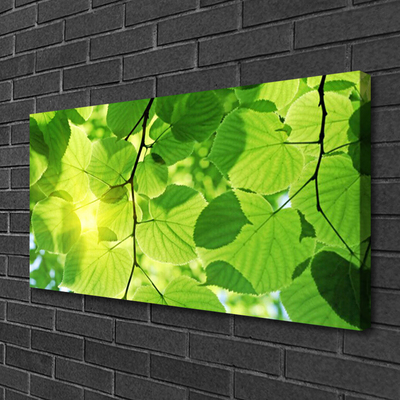 Canvas doek foto Bladeren natuur plant