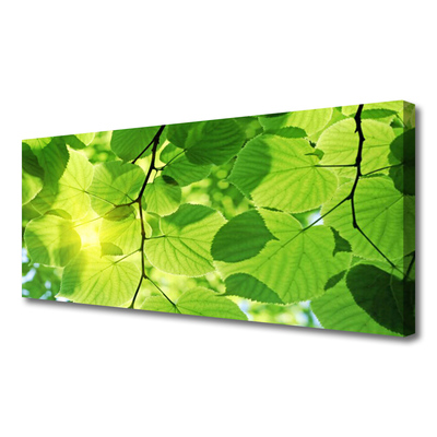 Canvas doek foto Bladeren natuur plant