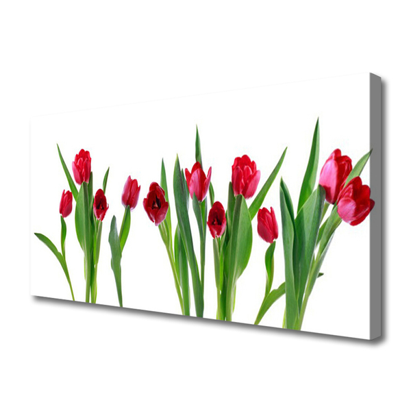 Canvas doek foto Tulpen bloemen plant