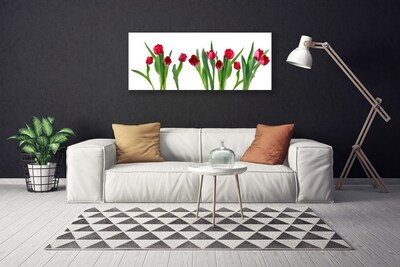 Canvas doek foto Tulpen bloemen plant