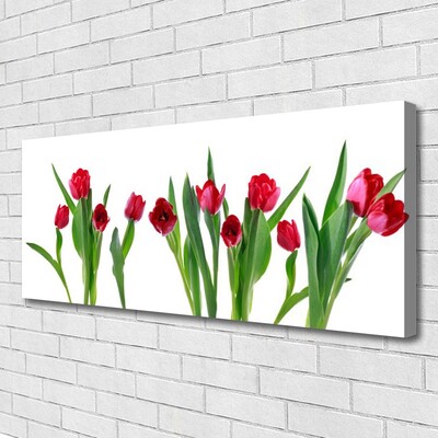 Canvas doek foto Tulpen bloemen plant