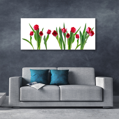 Canvas doek foto Tulpen bloemen plant