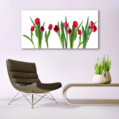 Canvas doek foto Tulpen bloemen plant