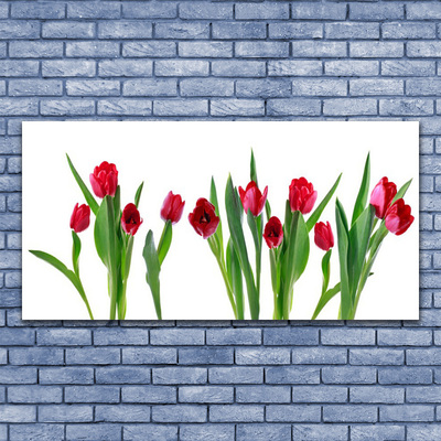 Canvas doek foto Tulpen bloemen plant