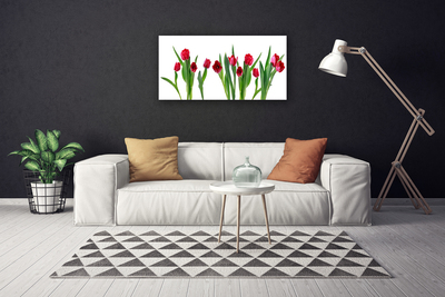 Canvas doek foto Tulpen bloemen plant