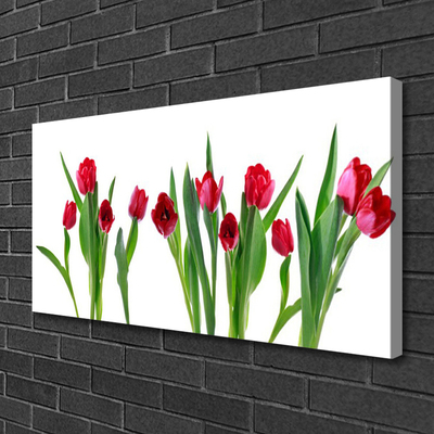 Canvas doek foto Tulpen bloemen plant