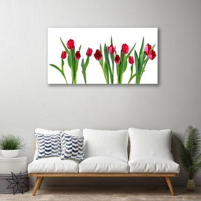 Canvas doek foto Tulpen bloemen plant