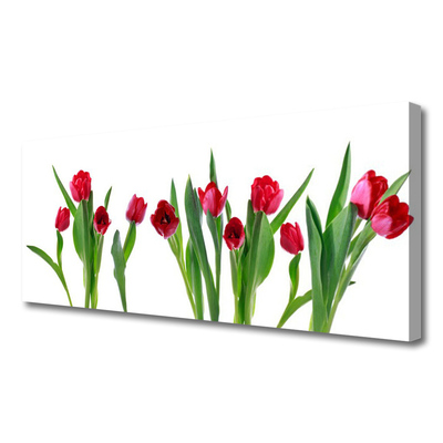 Canvas doek foto Tulpen bloemen plant