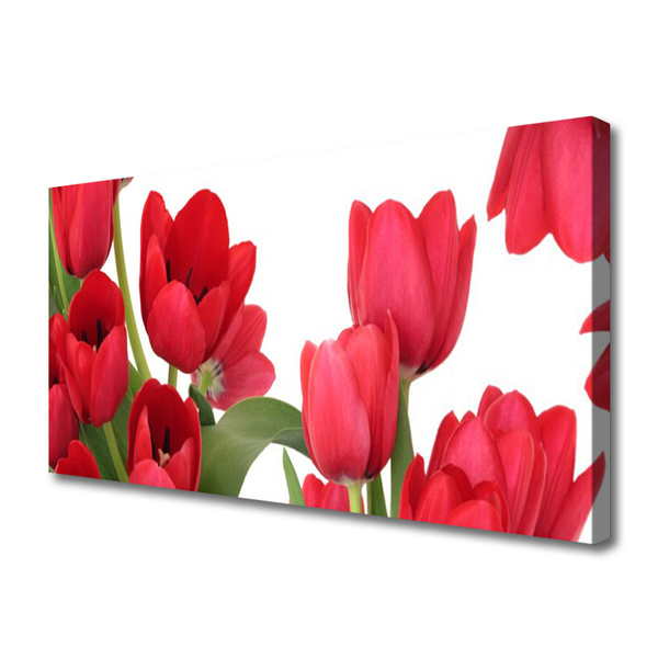 Canvas doek foto Tulpen bloemen plant