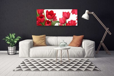 Canvas doek foto Tulpen bloemen plant