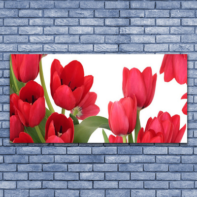 Canvas doek foto Tulpen bloemen plant