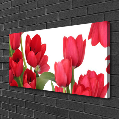 Canvas doek foto Tulpen bloemen plant