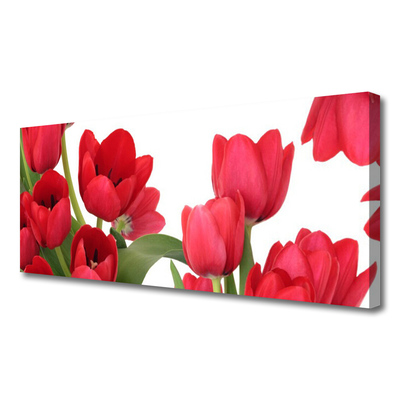 Canvas doek foto Tulpen bloemen plant