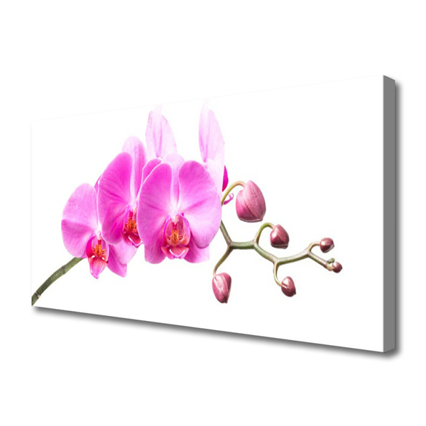 Canvas doek foto Bloemen plant nature