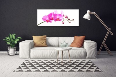 Canvas doek foto Bloemen plant nature