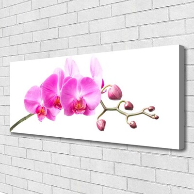 Canvas doek foto Bloemen plant nature