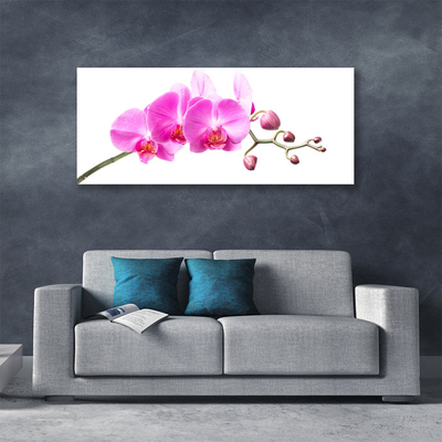 Canvas doek foto Bloemen plant nature