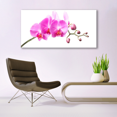 Canvas doek foto Bloemen plant nature