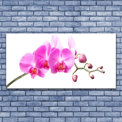 Canvas doek foto Bloemen plant nature