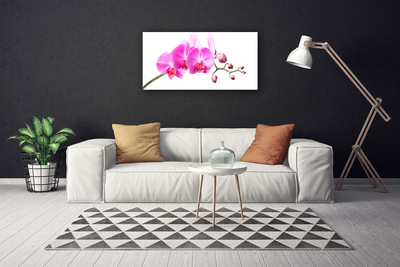 Canvas doek foto Bloemen plant nature