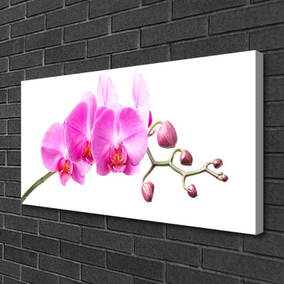 Canvas doek foto Bloemen plant nature