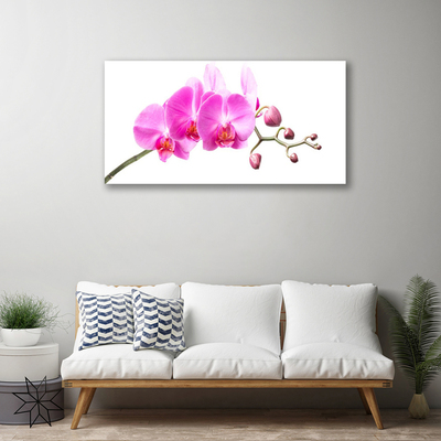 Canvas doek foto Bloemen plant nature