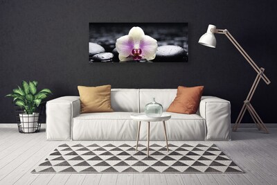 Canvas doek foto Flower orchideeinstallatie