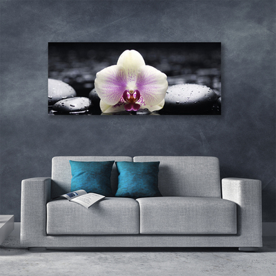 Canvas doek foto Flower orchideeinstallatie