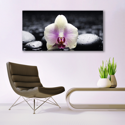 Canvas doek foto Flower orchideeinstallatie