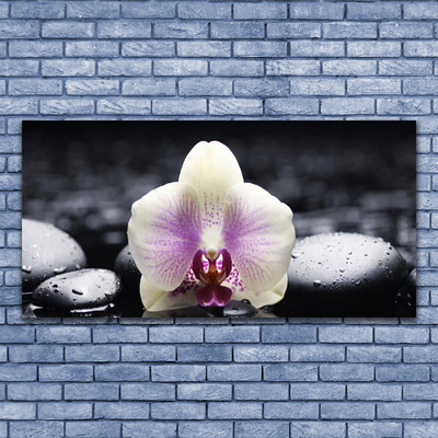 Canvas doek foto Flower orchideeinstallatie