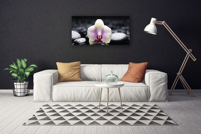 Canvas doek foto Flower orchideeinstallatie