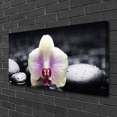 Canvas doek foto Flower orchideeinstallatie