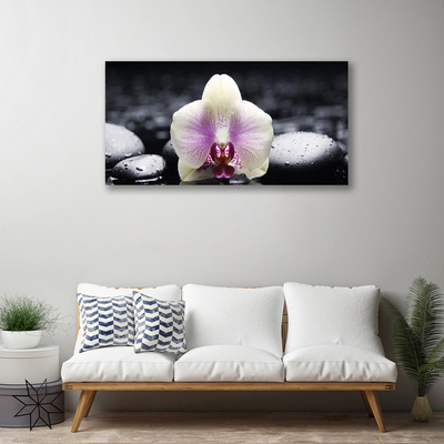 Canvas doek foto Flower orchideeinstallatie