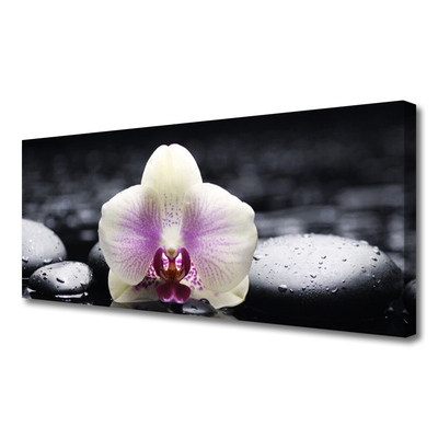 Canvas doek foto Flower orchideeinstallatie