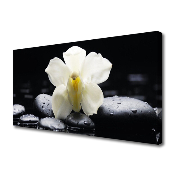 Canvas doek foto Flower orchideeinstallatie