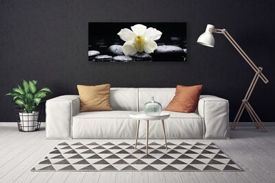 Canvas doek foto Flower orchideeinstallatie