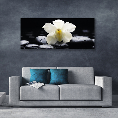 Canvas doek foto Flower orchideeinstallatie