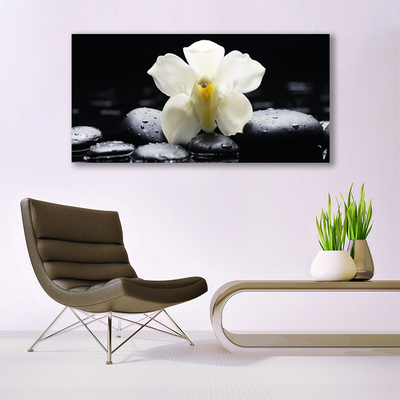 Canvas doek foto Flower orchideeinstallatie