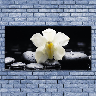 Canvas doek foto Flower orchideeinstallatie