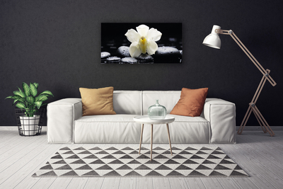 Canvas doek foto Flower orchideeinstallatie